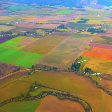Aerial view of land from a plane by Sandra Allright